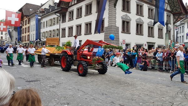Vorne die Kinderschaukel und hinten die Rüebli: Einfallsreich ist der Wagen der Aargauer Landfrauen.