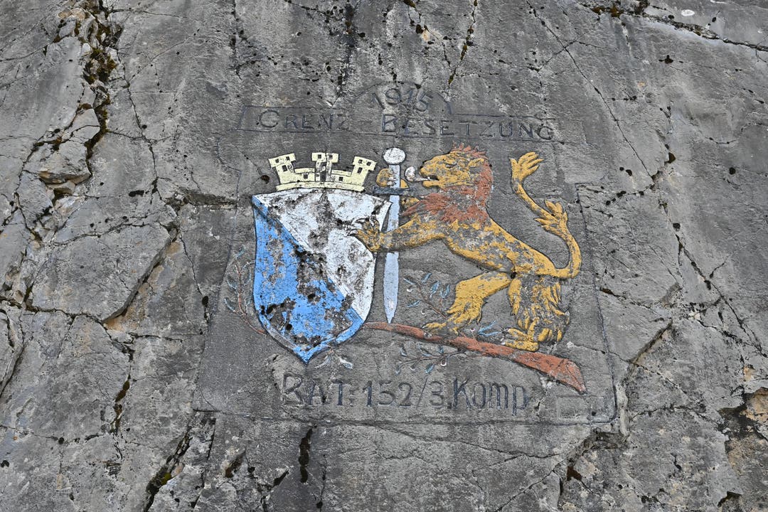 Wappen an der Belchen-Südstrasse Ein Züricher Löwe mit Schwert prangt auf einer Felswand.