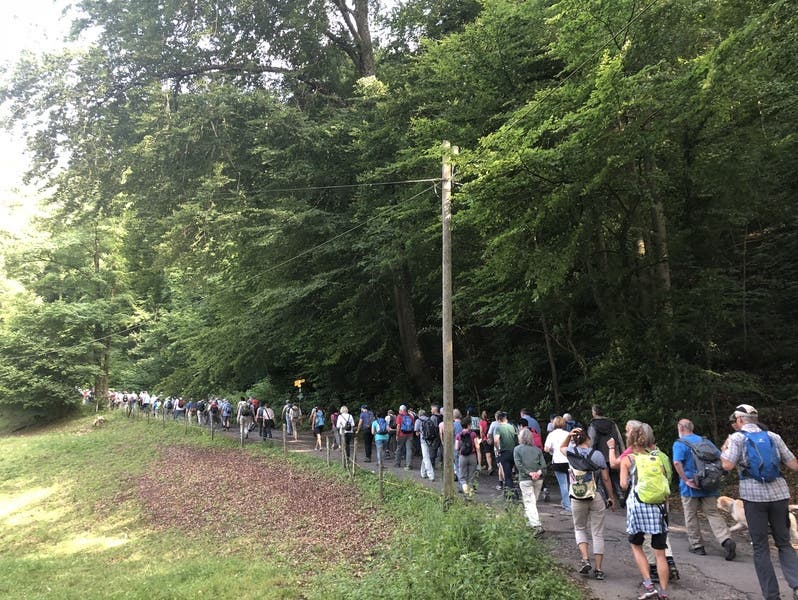 Offiziell 127 Wanderinnen und Wanderer beim Aufstieg in der Ermitage Arlesheim.