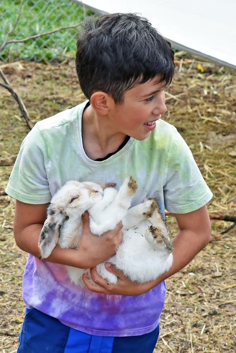 Benjamin weiss genau welches Kaninchen zahm ist.