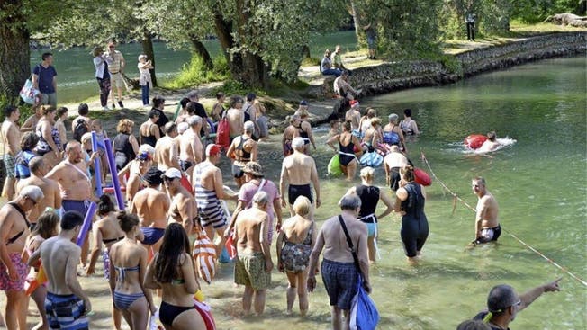 Am Rheinschwimmen nehmen jeweils Hunderte Schwimmer teil. zvg