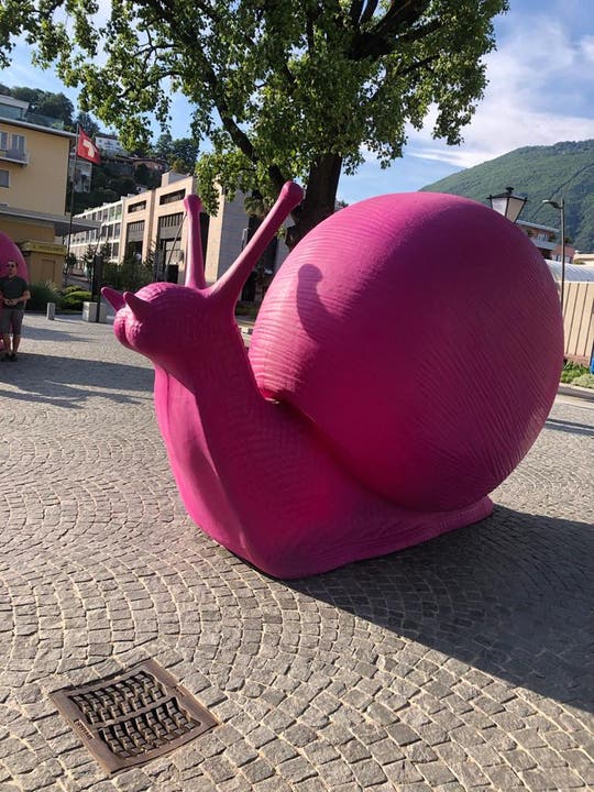 undefined Die Tier sind überdimensional, schrill bunt,in Ascona zusehen. Monika Hunziker