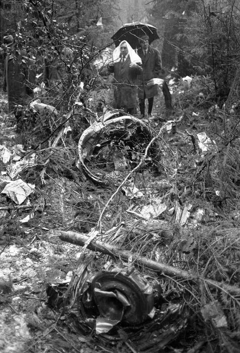 Den ersten Helfern zeigt sich ein Bild des Grauens: Trümmer- und Leichenteile liegen verstreut im Wald.