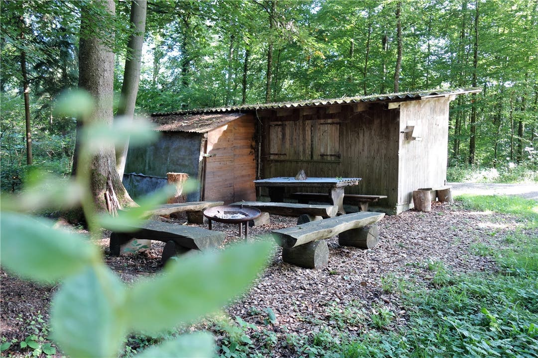 Illegal? Diese alte Holzerhütte steht schon lange im Murianer Wald. Bilder: Eddy Schambron