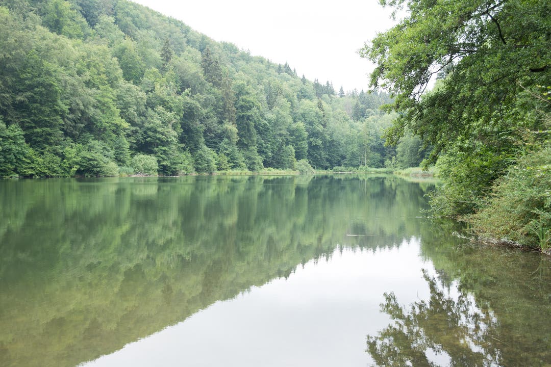 Der Egelsee ist der grösste Natursee im Kanton Aargau.