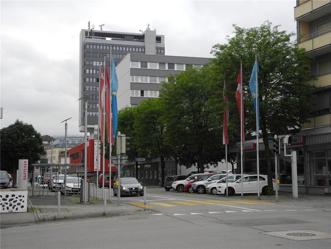 Die fünf Robinien auf der Solothurnstrasse sollen gefällt werden.