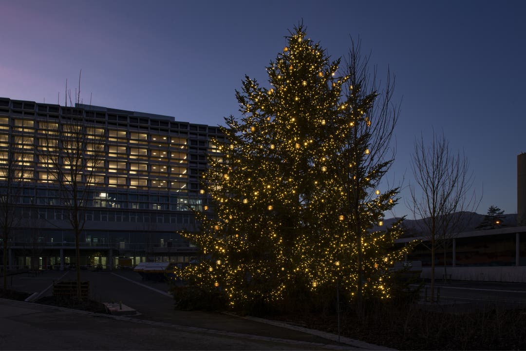 Der Weihnachtsbaum vor dem Neubau Bürgerspital Solothurn.
