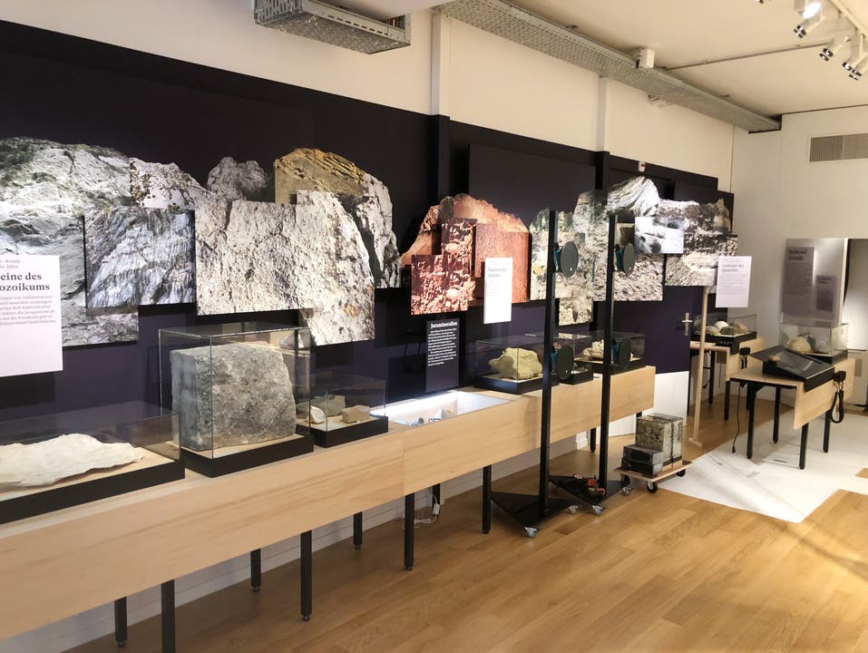 Beschriftungsarbeiten im Naturmuseum im Haus der Museen in Olten.