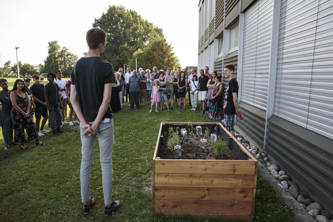 Die Hochbeete – vorgestellt von Filip Mitrovic
