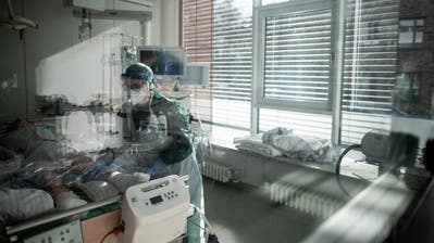 Die Hingebungsvollste Krankenschwester Die Hingebungsvollste Krankenschwester