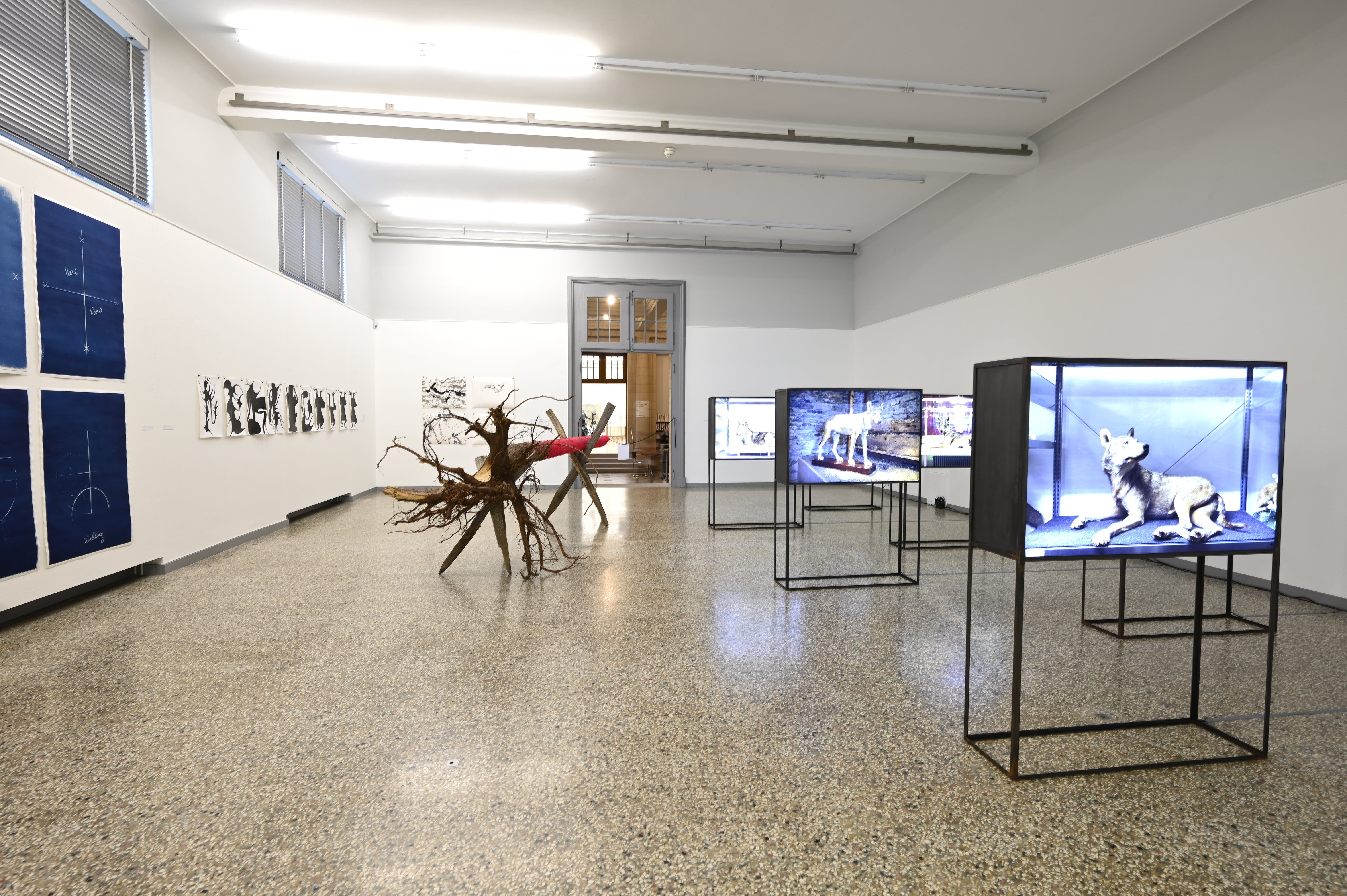 Blick in die 36. Jahresausstellung im Kunstmuseum Solothurn