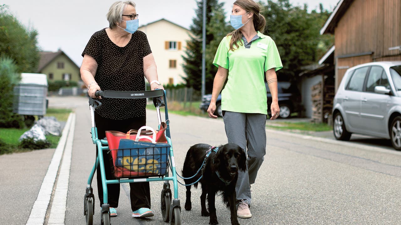 Petra Sommer, Pflegefachfrau Spitex Heitersberg, nimmt «Cara» bei ihren Einsätzen mit.