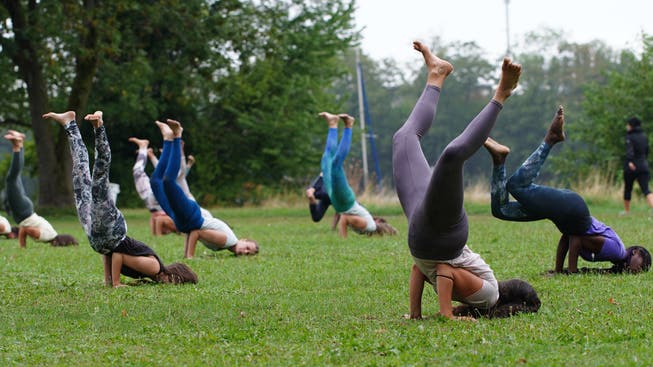 Eine Mischung aus Yoga, Tanz und Akrobatik zeigen diese Performerinnen und ein Performer auf der Kraftwerkinsel.