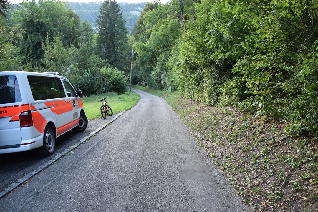 Bärschwil SO, 12. August: Ein unangeleinter Hund wird von einer Autolenkerin überfahren und stirbt an der Verletzungen.