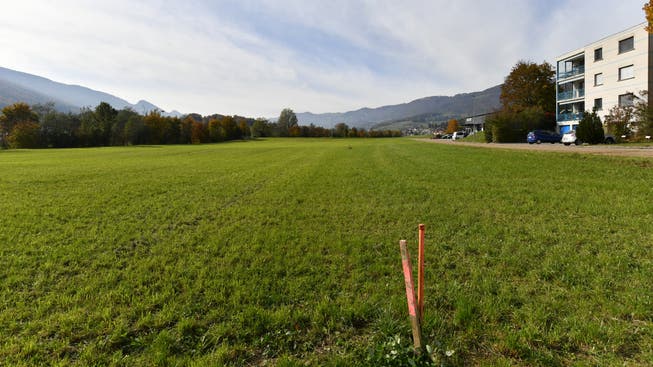 Auf diesem Grundstück am Blochenmoosweg in Balsthal will die Centravo AG ein Produktions- und Lagergebäude erstellen.