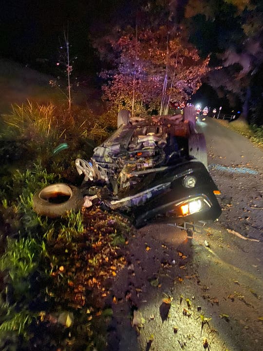 Ein Fahrzeug geriet ins Schleudern und rammte einen Baum.