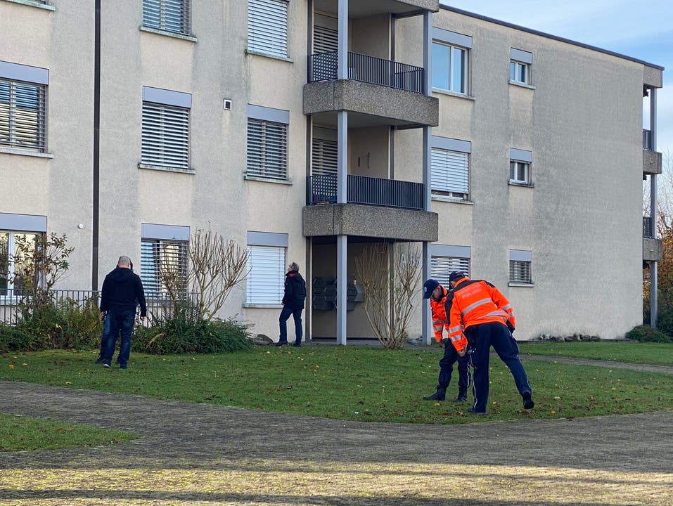 Der Morgen danach: Forensiker der Kantonspolizei suchen Büsche und Wiesen ab