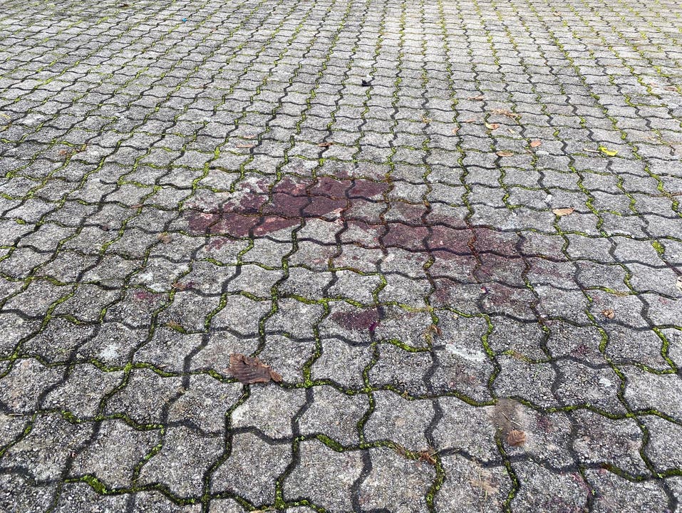 Ein grosser dunkelroter Blutfleck am Boden zeugt davon, was nur wenige Stunden zuvor hier inmitten einer Familiensiedlung im Helgenfeldquartier in Suhr passiert war.