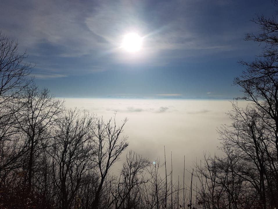 Knapp über dem Nebel hier auf dem Linnerberg, eingeschickt von Roland Schmitt