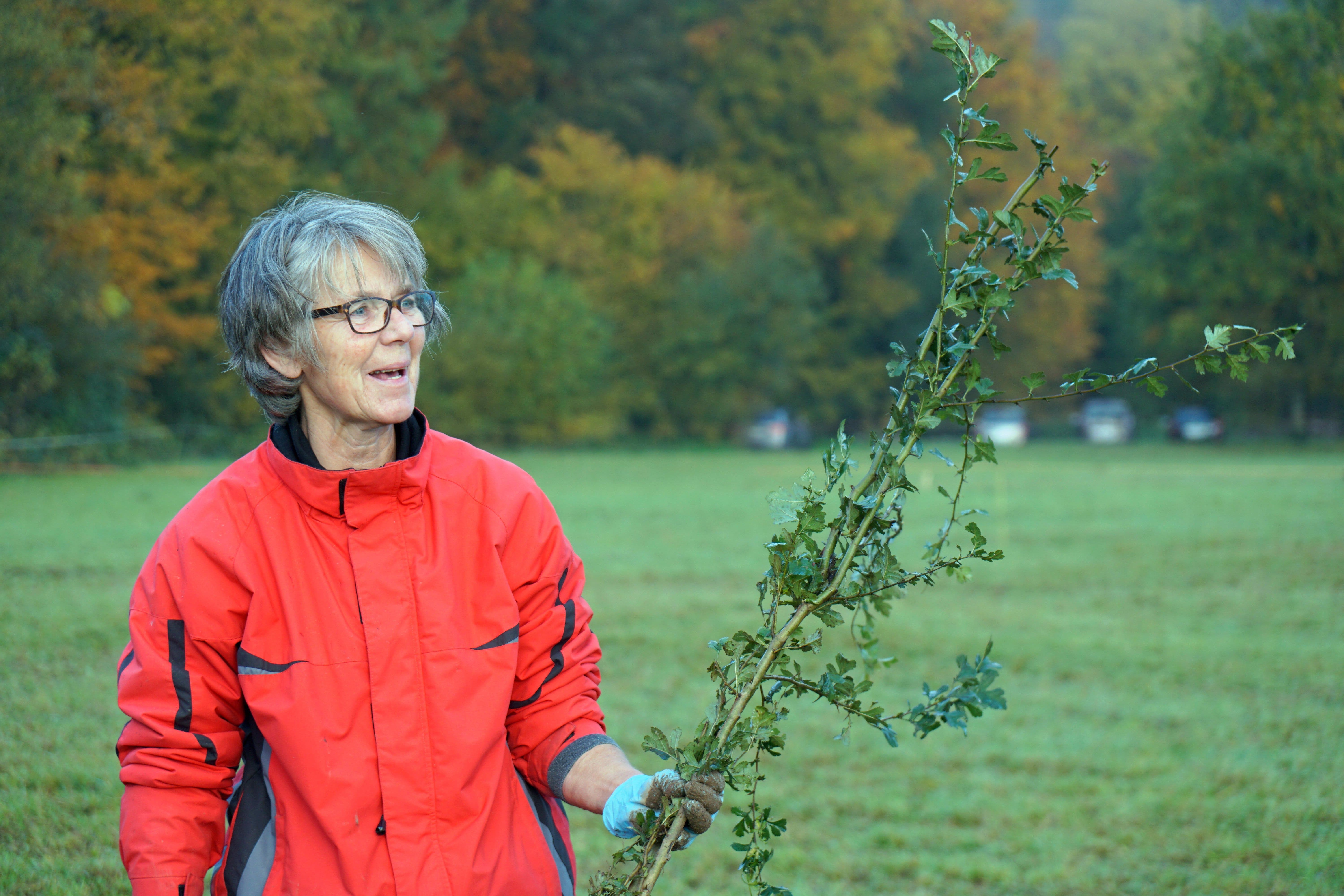 Gute Laune bei den Vereinsmitgliedern Eva Jäggi mit einem Weissdorn – einer von fast 900 Sträuchern, die in Härkingen gepflanzt wurden.