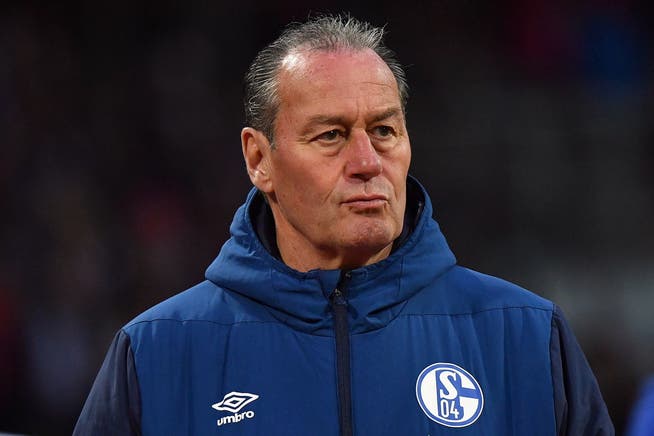Huub Stevens übernimmt das Traineramt beim FC Schalke 04 für zwei Spiele.