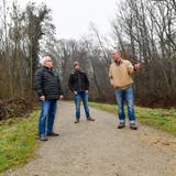 Die Waldbesitzer Hansruedi Hänni, Alexander Gubler und Ernst Lieber im betroffenen Thur-Auenwald. (Bild: Donato Caspari)