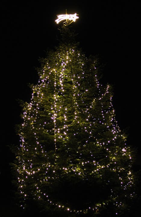 Ein 8.5 Meter hoher Weihnachtsbaum in Subingen