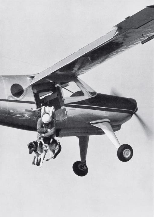 Ein Kollege von Walter Odermatt springt mit dem Hund aus dem Flugzeug ... ZVG/Rega