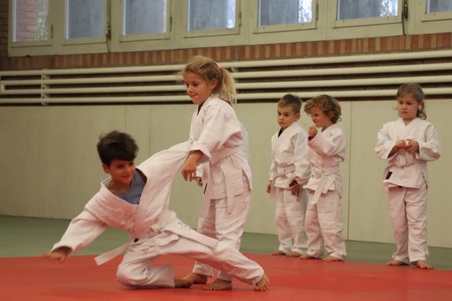 Abtwil Elefantenwurfe Im Dojo Kindergartenkinder Machen Judo