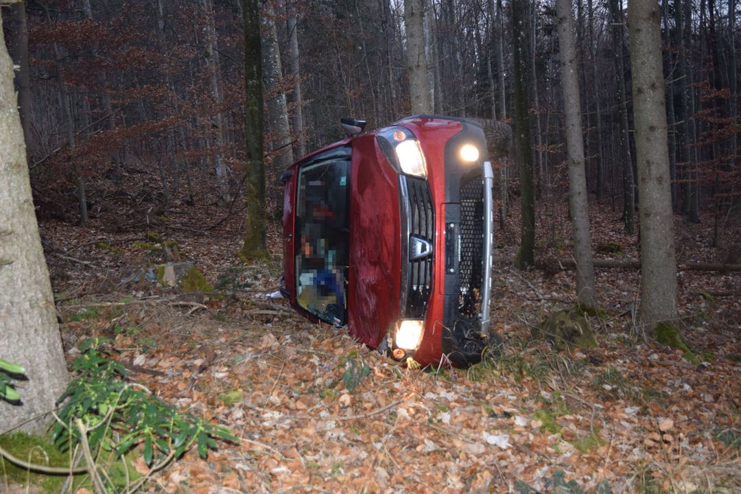 Hägendorf SO, 14. Januar: Nach einem Selbstunfall überschlägt sich das Auto und kommt im Wald zum Stillstand. Personen wurden keine verletzt.