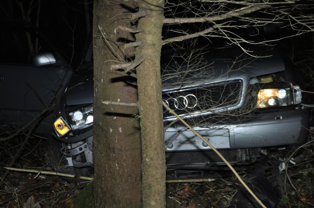Dornach SO, 5. Januar: Ein Automobilist hat in einem Waldstück die Kontrolle über sein Fahrzeug verloren. Das Auto kam von der Strasse ab und kollidierte mit einem Baum. Personen wurden keine verletzt.
