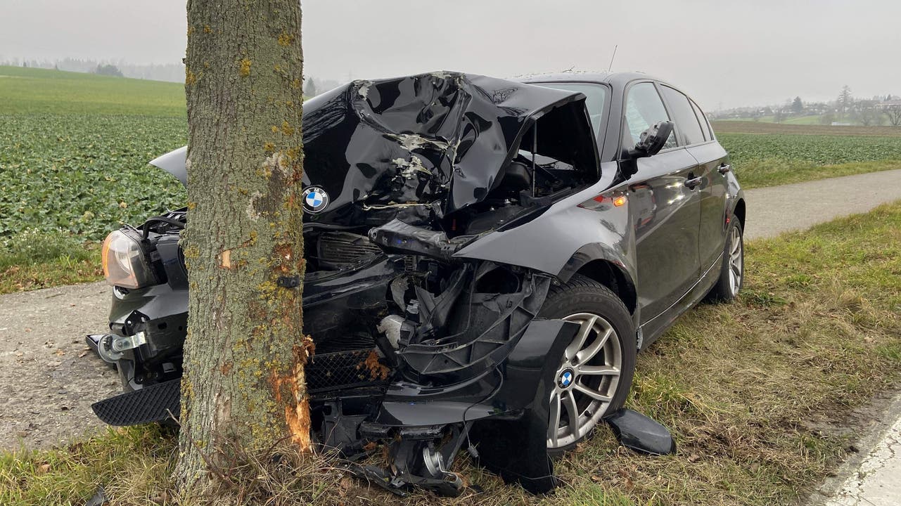 Lupfig AG, 3. Januar: Eine Neulenkerin wollte ausserhalb von Lupfig überholen. Weil ihr ein Auto entgegenkam, musste sie ausweichen und prallte gegen einen Baum.