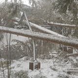 Die komplett zerstörte Bergstation des Skiliftes Oberdorf. (Bilder: Bergbahnen Wildhaus)