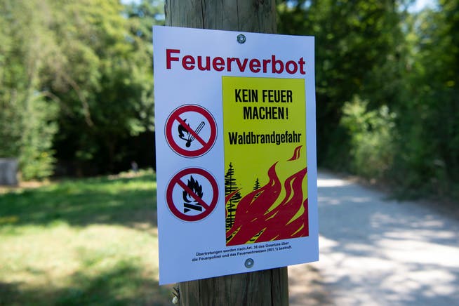 Im Tessin und Teilen von Graubünden herrscht derzeit erhöhte Waldbrandgefahr. 