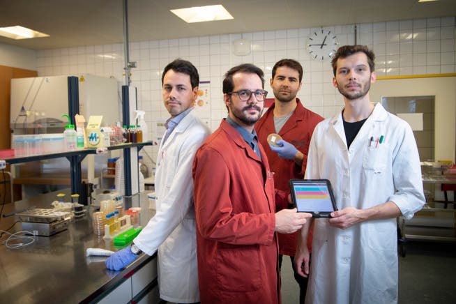 1LIMS beim Labor der Micarna in Bazenheid. (von links): Jonas Greminger, Samuel Schmid, Alban Muret und Philipp Osterwalder.