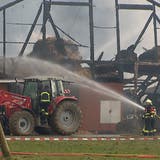 Scheune in Willisau komplett abgebrannt – für vier Kälber kam jede Rettung zu spät