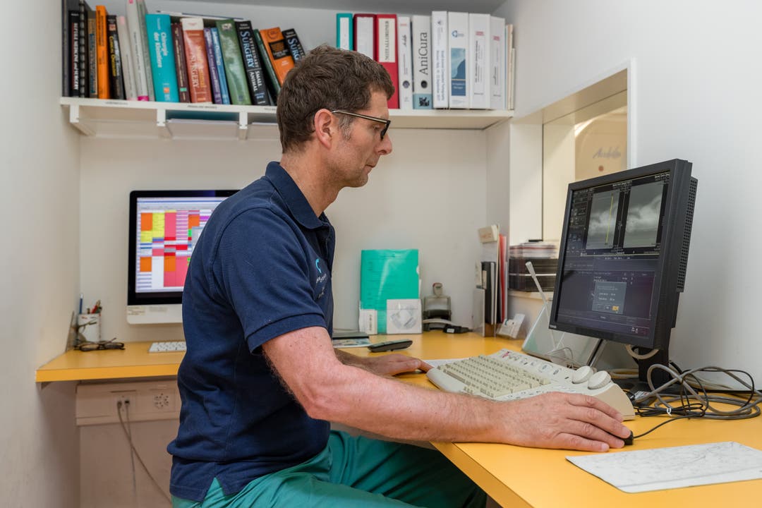 Bildstrecke Spitzenmedizin für Hund und Katz Zu Besuch in der