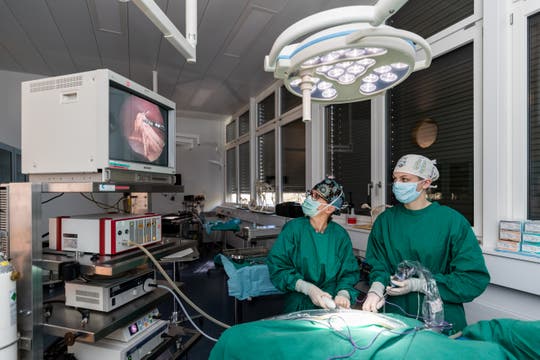 Bildstrecke Spitzenmedizin für Hund und Katz Zu Besuch in der