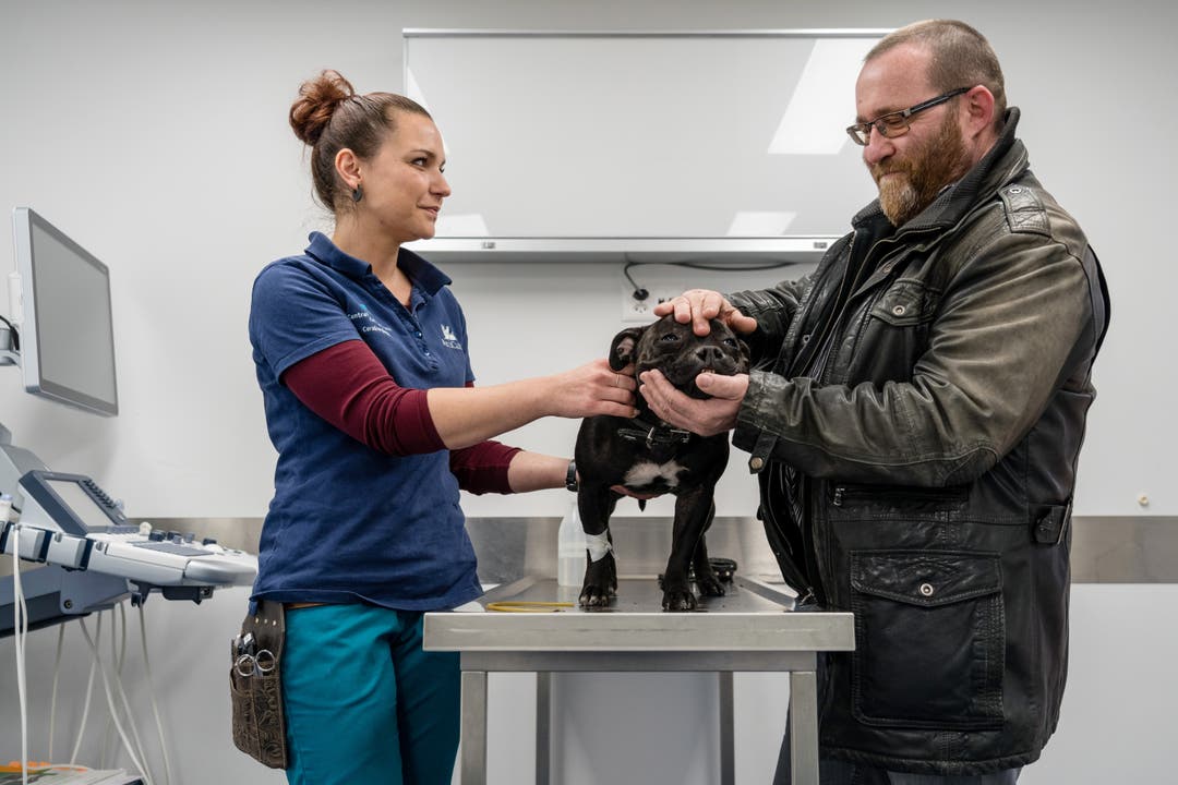 Bildstrecke Spitzenmedizin für Hund und Katz Zu Besuch in der