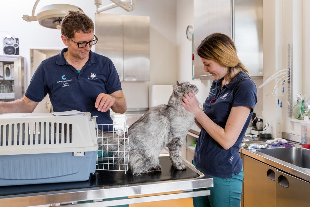 Bildstrecke Spitzenmedizin für Hund und Katz Zu Besuch in der
