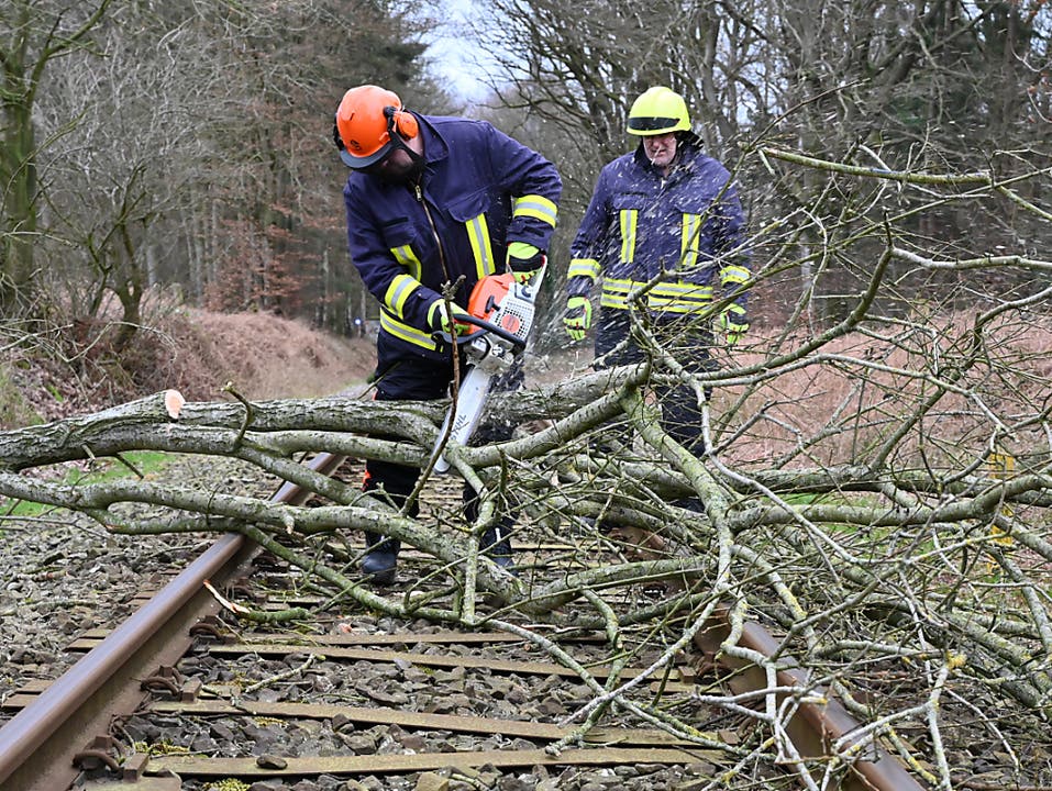 Freiwillige Feuerwehrmänner beseitigen in Deutschland einen umgeknickten Baum auf einer Bahnstrecke.