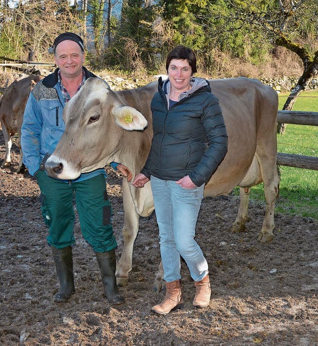 Hans und Sonja Durrer mit einer dank Homöopathie gesunden Kuh.