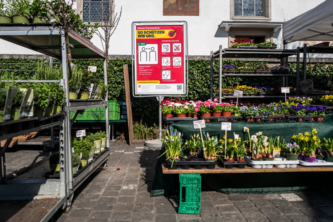 Blumen am Luzerner Wochenmarkt werden angeboten. 