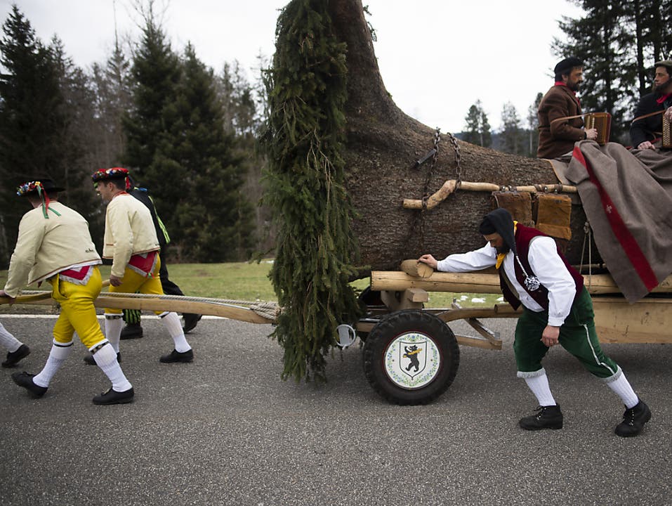 Der Blochmontag markiert in Appenzell Ausserrhoden das Ende der Fasnachtszeit. Verkleidete Männer ziehen dabei einen geschmückten Baumstamm durchs Appenzeller Hinterland, der anschliessend versteigert wird.