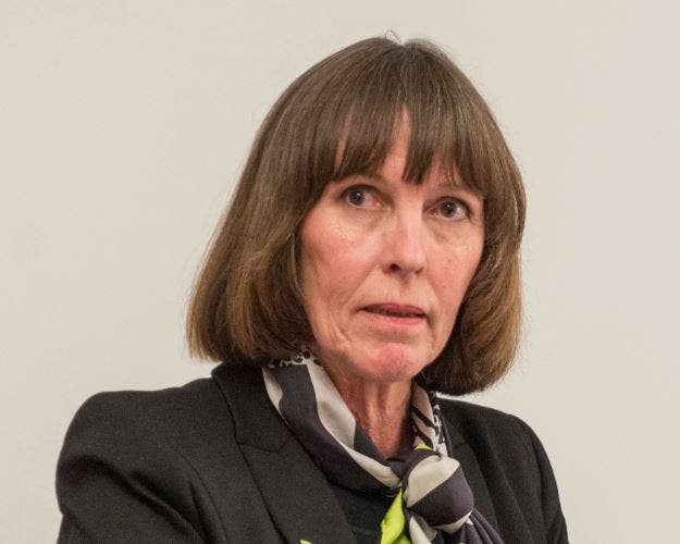 Nicht länger Parteimitglied: Erika Häusermann, Präsidentin der Grünliberalen im Wahlkreis Wil.