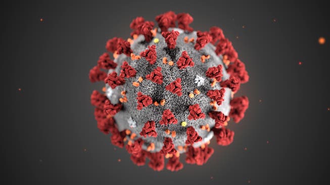Die Anzahl der Coronavirus-Erkrankungen ist am Montag weiter angestiegen. (Symbolbild)