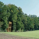 Ist Naturschützern ein Dorn im Auge: Die geplanten zwei Holztürme, die eine Aussichtsplattform bilden sollen. (Visualisierung: PD)