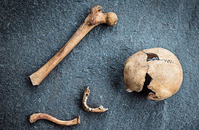 Vor zehn Jahren wurden bei der Richtstätte Knochen gefunden, die heute in der Kantonsarchäologie aufbewahrt werden.