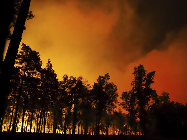 In Belgien wütet ein Waldbrand in grossen Teilen eines Naturschutzgebietes.