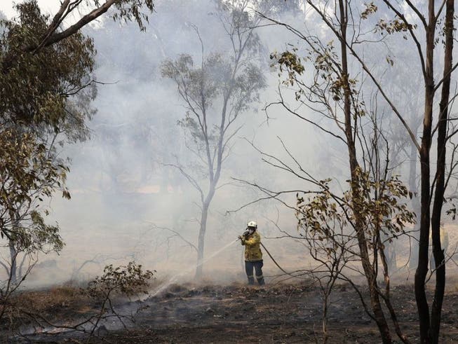 Trotz der gewaltigen Mengen an CO2, welche die jüngsten Buschbrände in Australien freigesetzt haben, rechnet die Regierung damit, ihre Klimaziele zu erreichen.